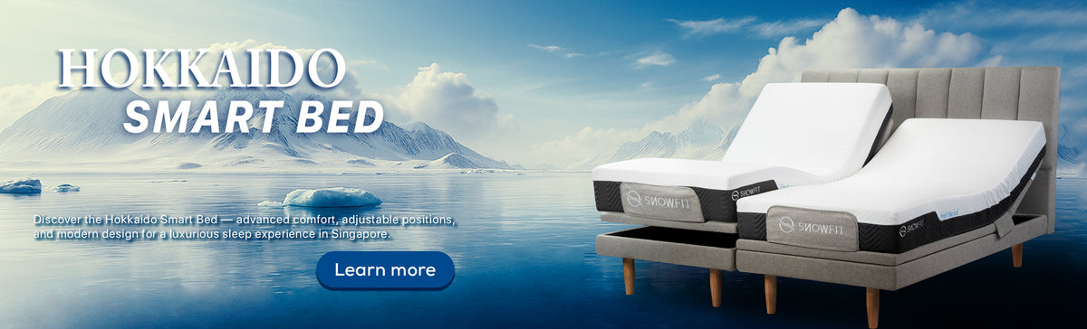 SnowFit Singapore | Smart Beds & Massage Chairs for Premium Comfort